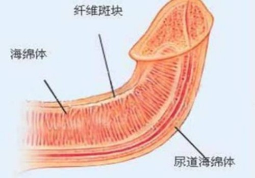 深圳试管助孕价格：连续生了三个女儿，为什么老是生女儿呢？